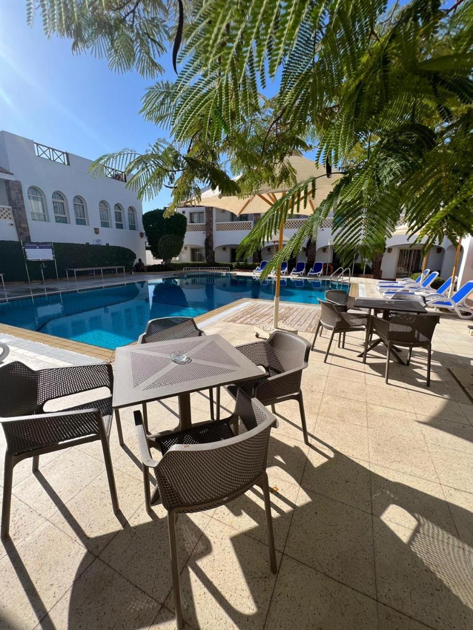 Camel Dive Club & Hotel - Boutique Hotel Sarm es-Sejk Kültér fotó