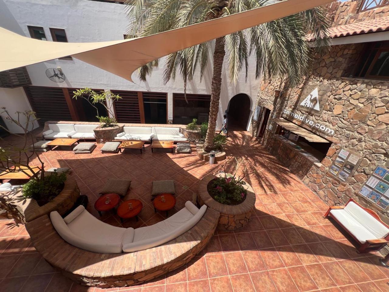 Camel Dive Club & Hotel - Boutique Hotel Sarm es-Sejk Kültér fotó