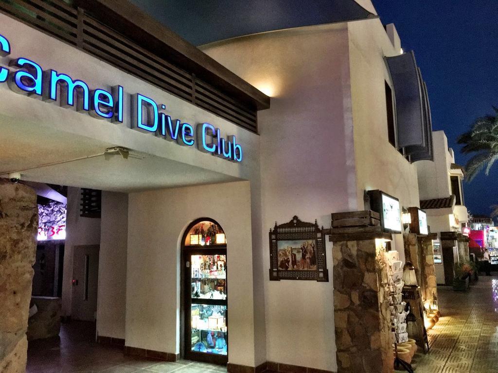 Camel Dive Club & Hotel - Boutique Hotel Sarm es-Sejk Kültér fotó